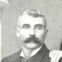 David Moroni Palmer (1847 - 1930) Profile